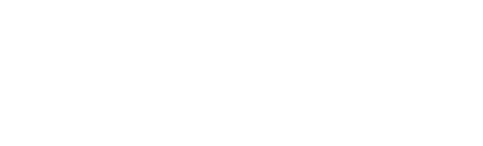 dnm logo png .